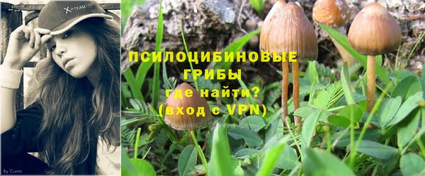 стафф Лихославль